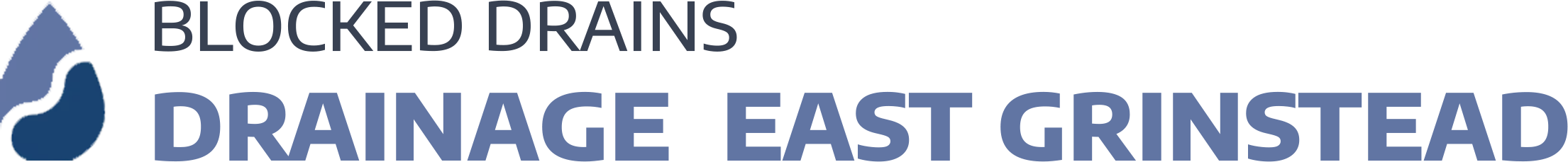 website logo